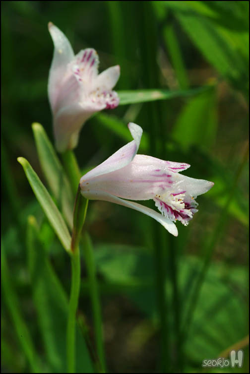 DSCF0178.jpg