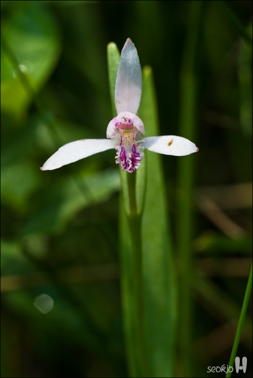 DSCF8920.jpg