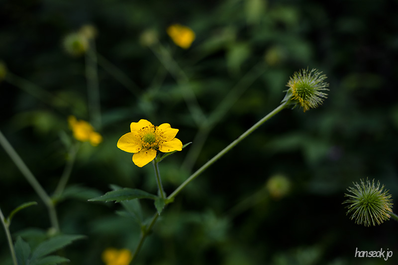 DSC_0080.jpg