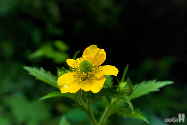 DSCF9660.jpg