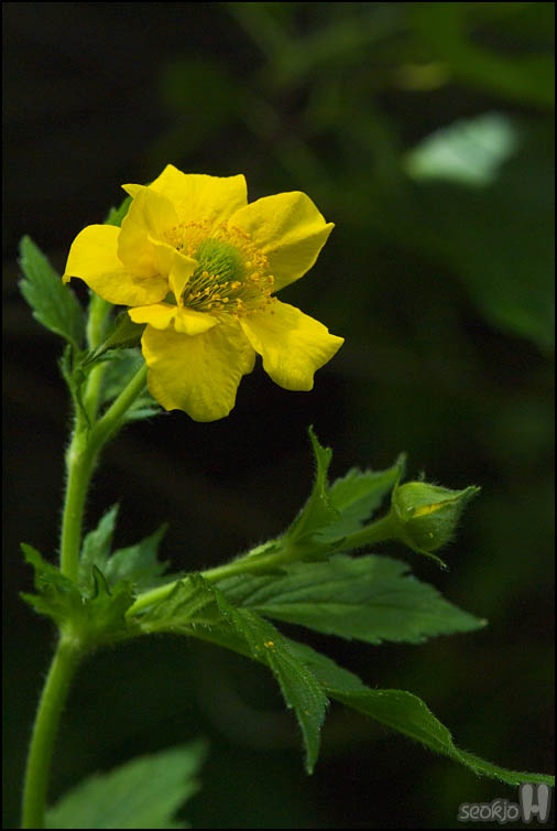 DSCF7046.jpg
