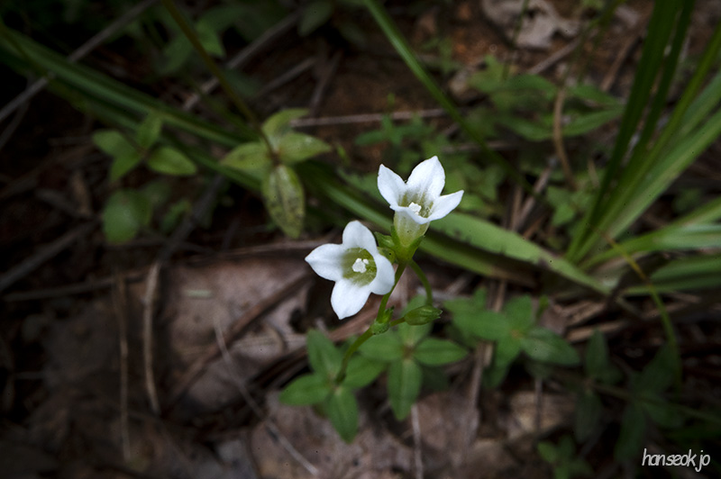 DSC_1335.jpg
