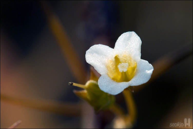 DSCF4940.jpg