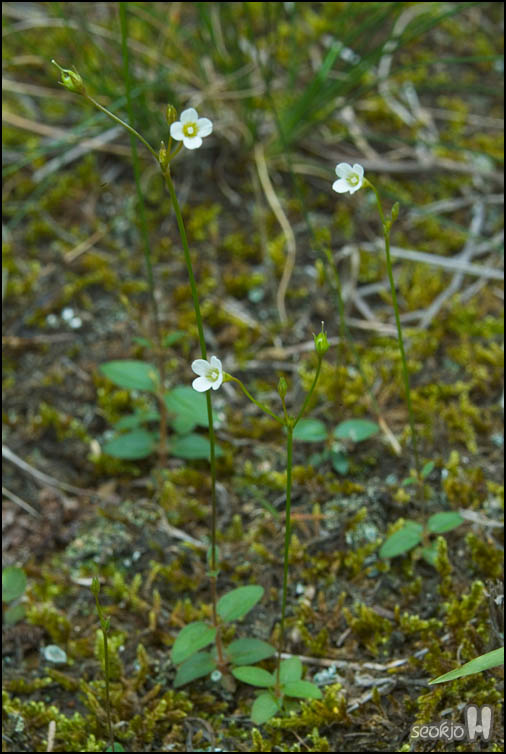 DSCF8819.jpg