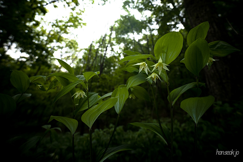 DSC_5024.jpg