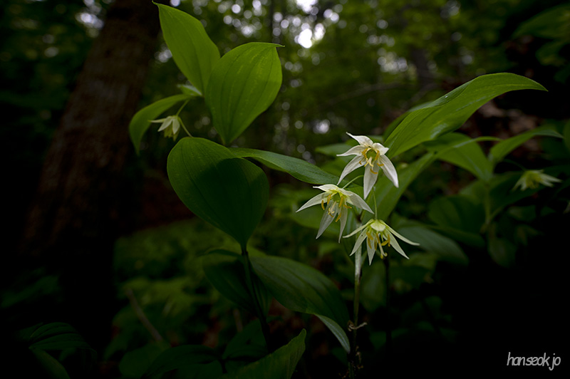 DSC_5025.jpg