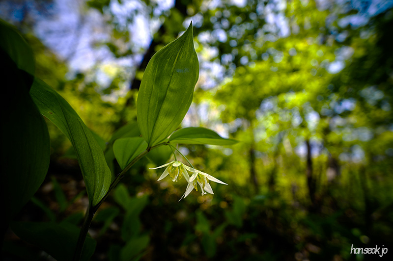 DSC_2343.jpg
