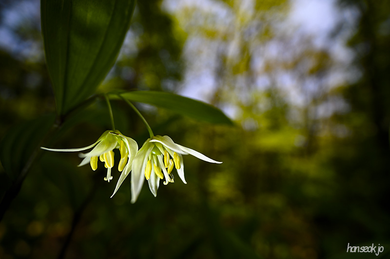 DSC_2374.jpg