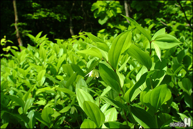DSCF6629.jpg