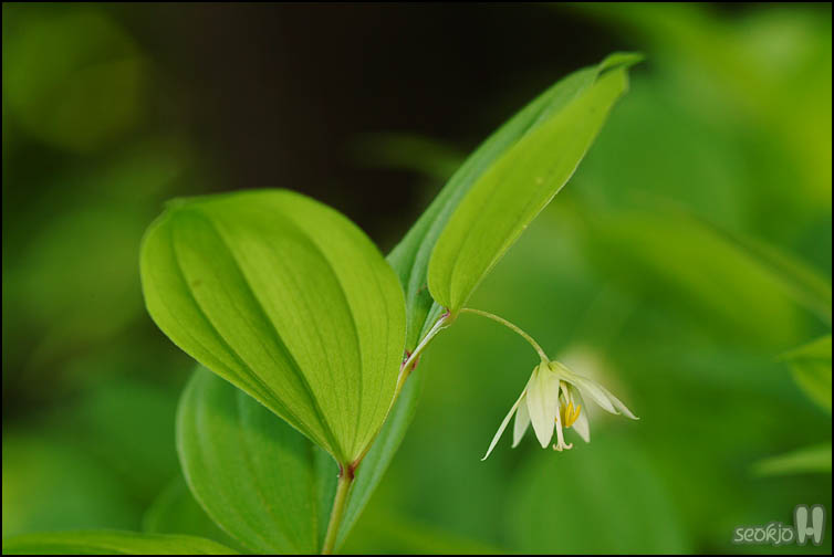 DSCF6635.jpg