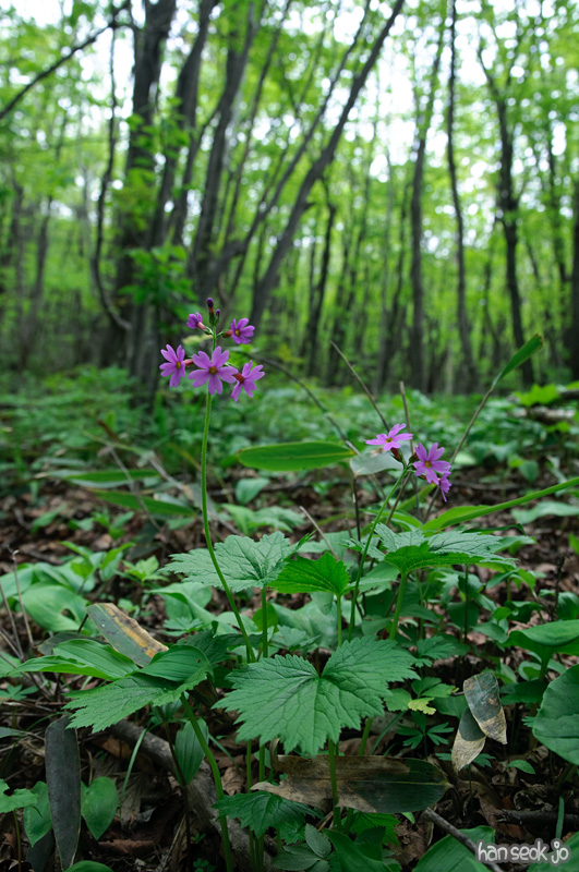 DSC_6555.jpg