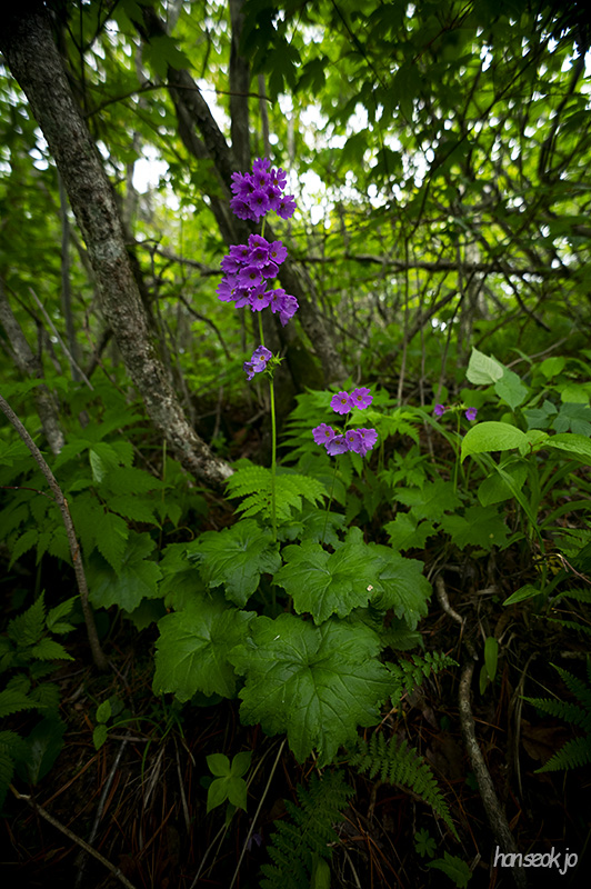 DSC_5304.jpg