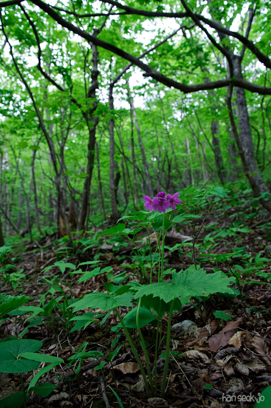 DSC_1681.jpg