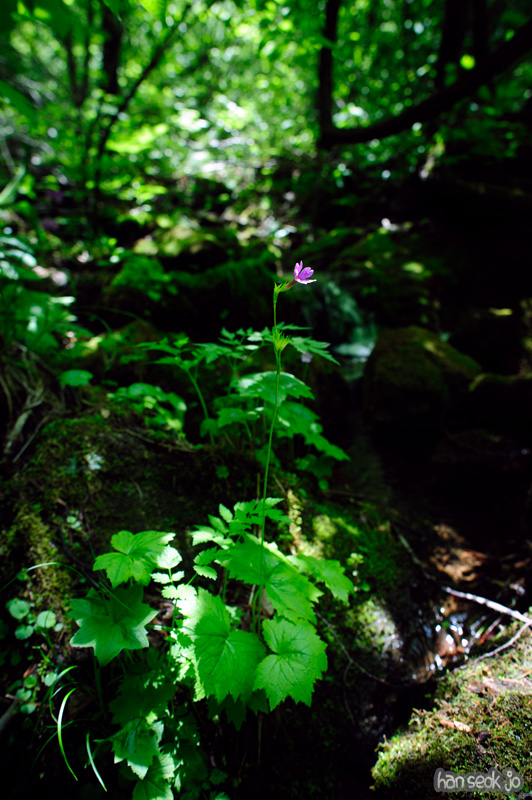 HSJ_0022.jpg