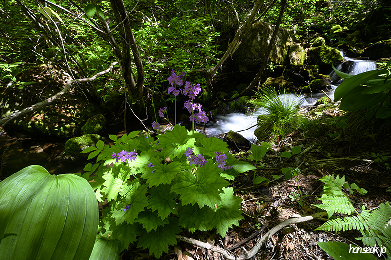 DSC_2728.jpg