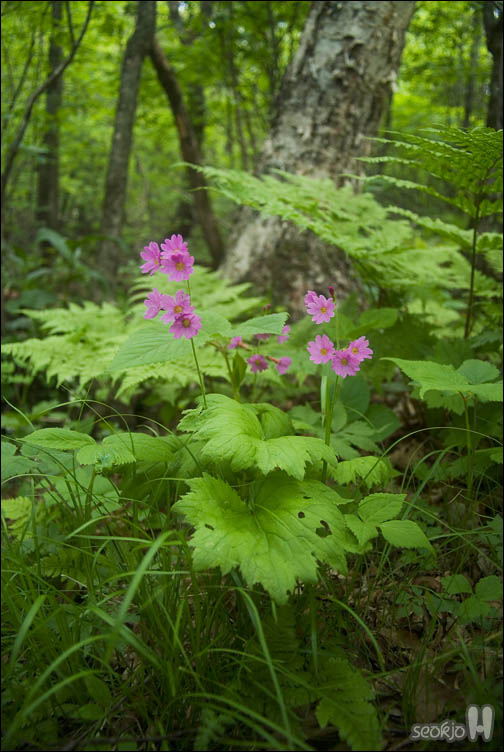 DSCF8673.jpg