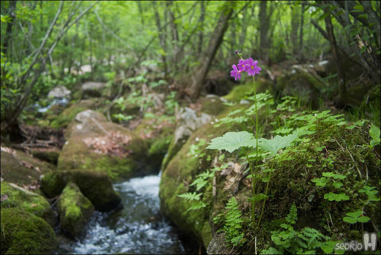DSCF8680.jpg