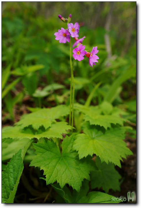 DSCF6819.jpg