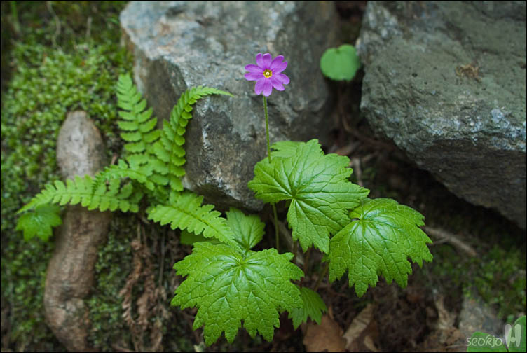 DSCF0382.jpg
