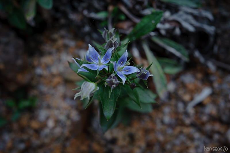 HSJ_0550.jpg