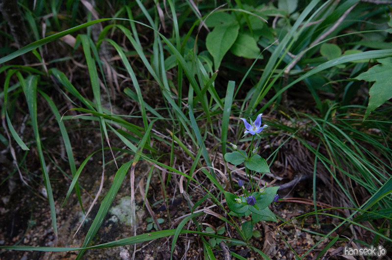 DSC_8252.jpg