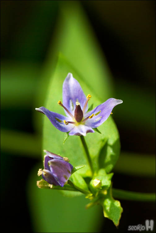 DSCF4103.jpg