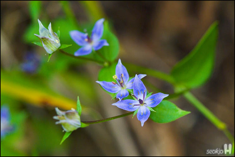 DSCF9640.jpg