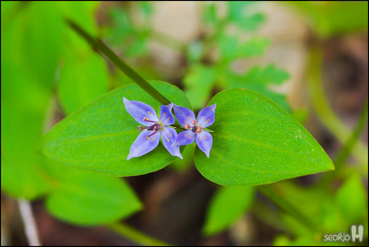 DSCF9645.jpg