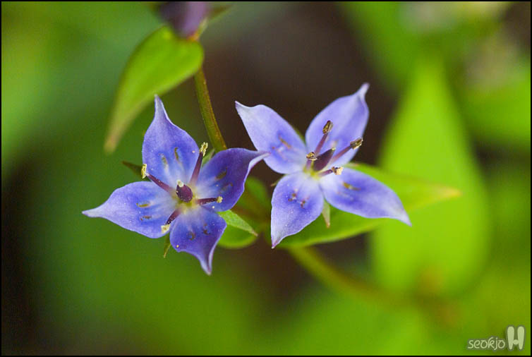 DSCF9652.jpg