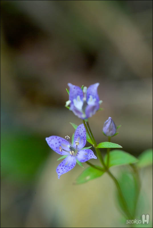DSCF5904.jpg
