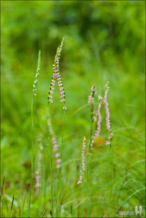 DSCF9786.jpg