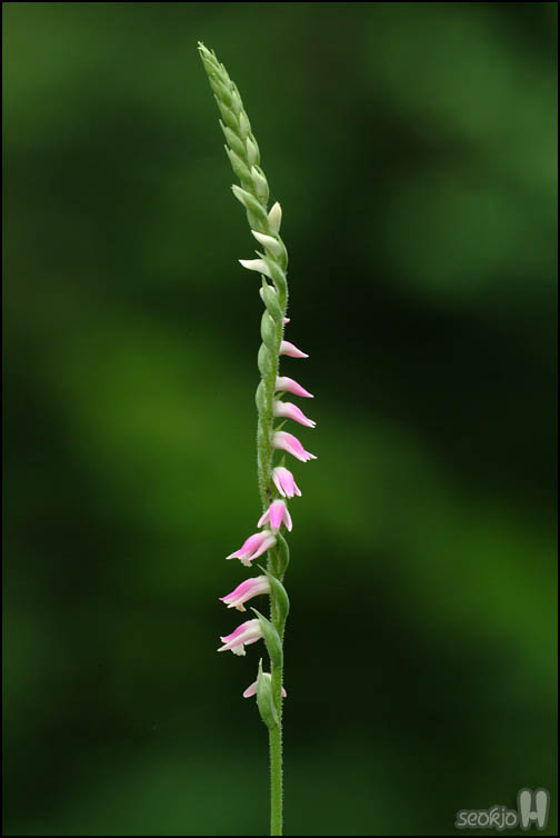 DSCF2155.jpg