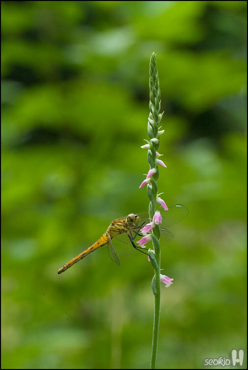 DSCF2157.jpg