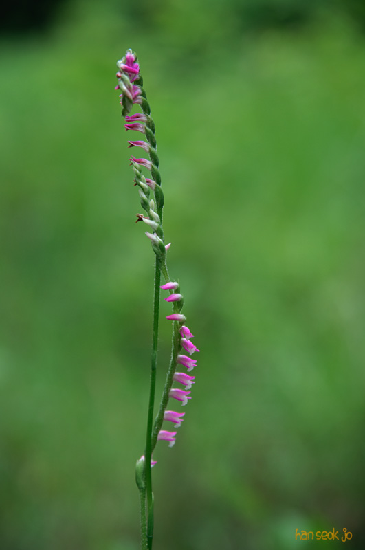 DSC_7501.jpg
