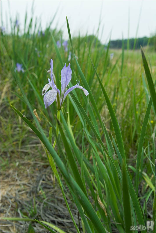 DSCF3872.jpg