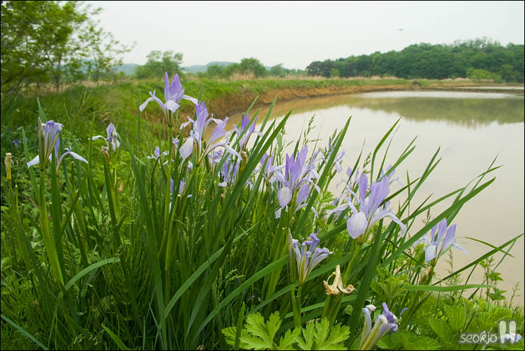 DSCF8500.jpg