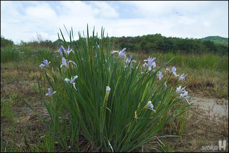 DSCF0805.jpg