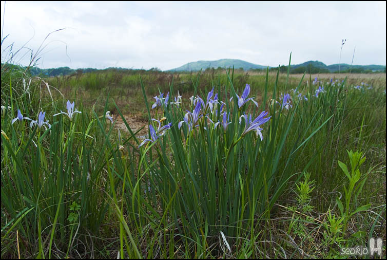 DSCF0806.jpg