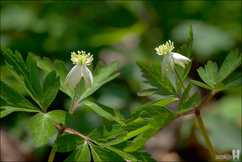 DSCF3595.jpg