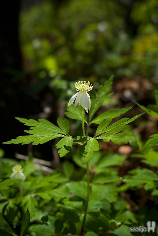 DSCF8310.jpg