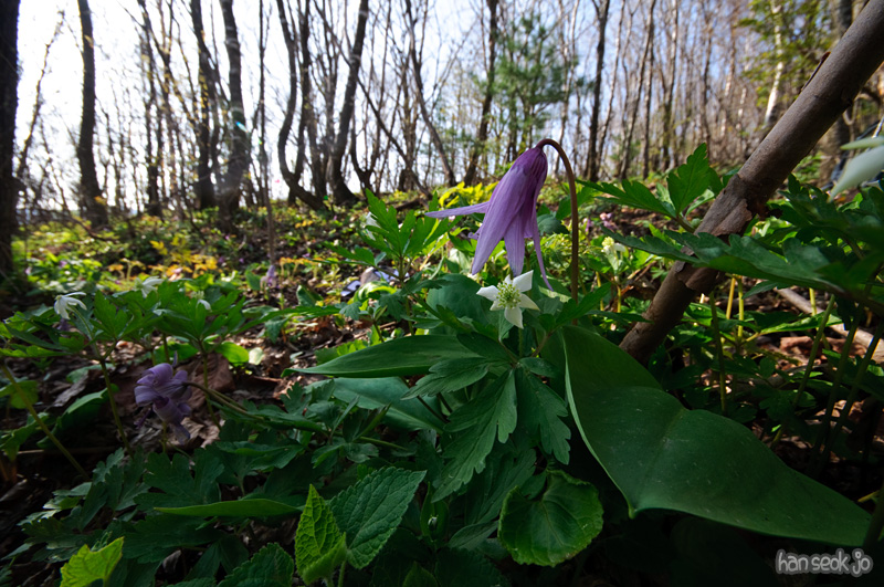 DSC_6263.jpg