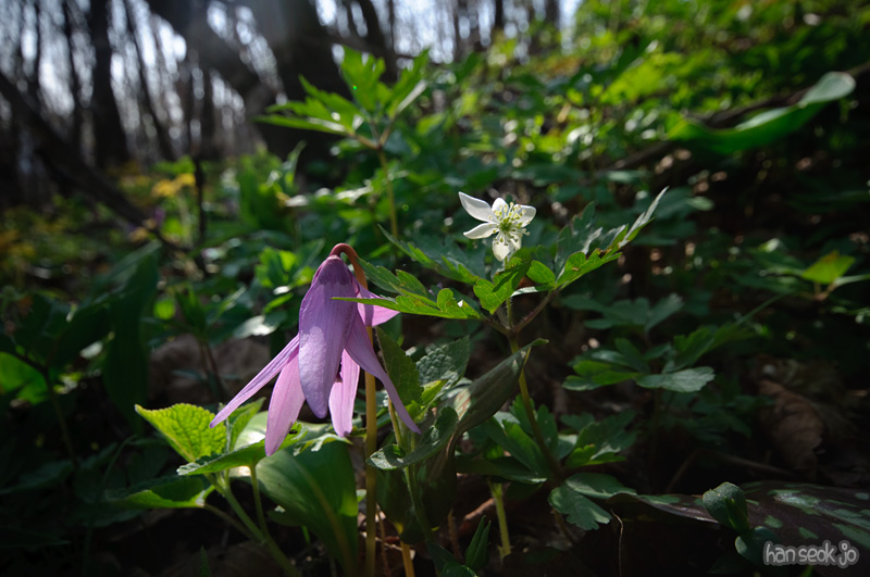 DSC_6275.jpg