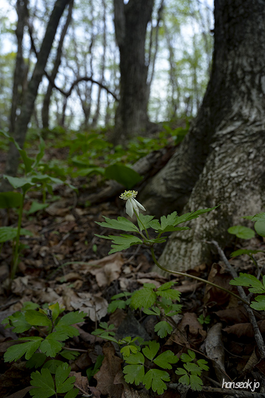 DSC_5180.jpg