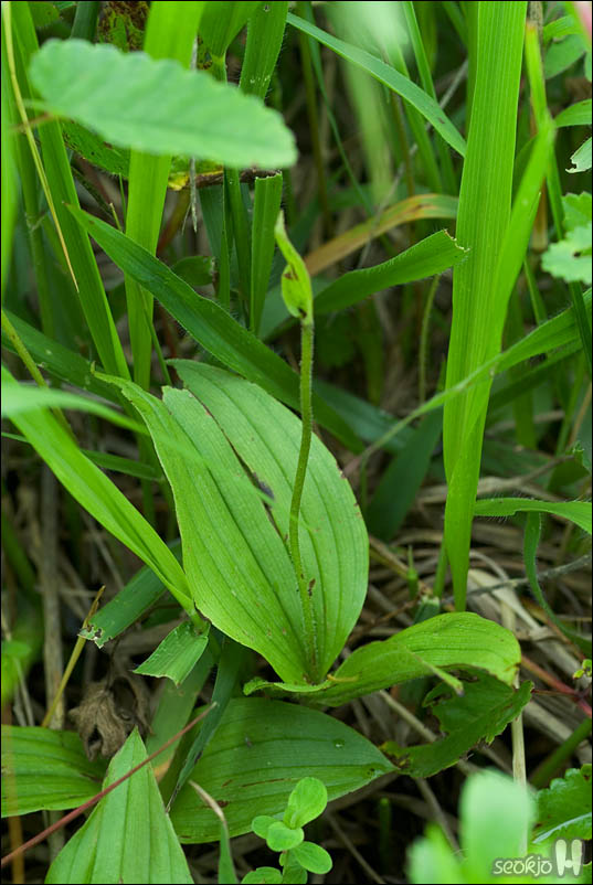 DSCF4450.jpg