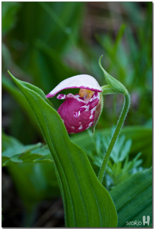 DSCF8649.jpg
