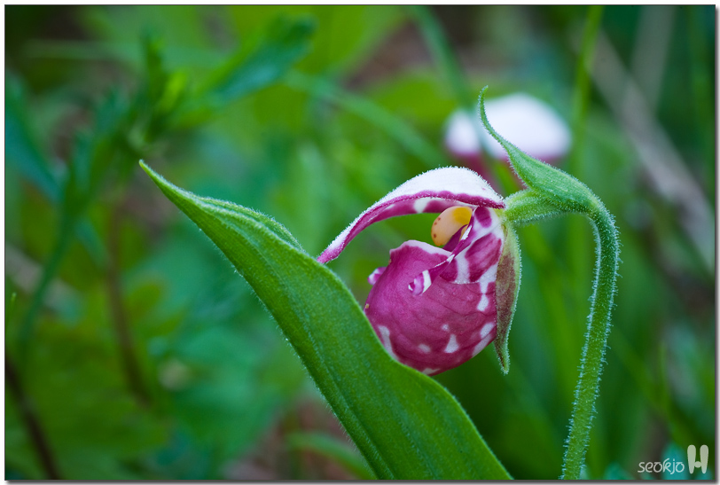DSCF8625.jpg