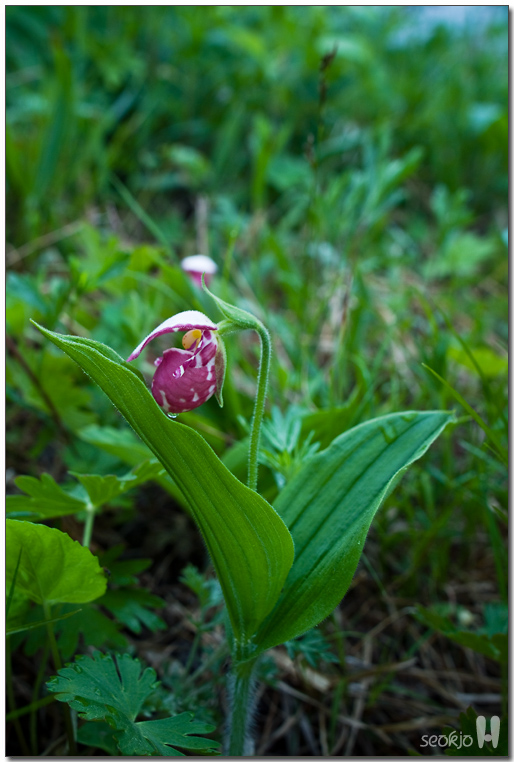 DSCF8629.jpg