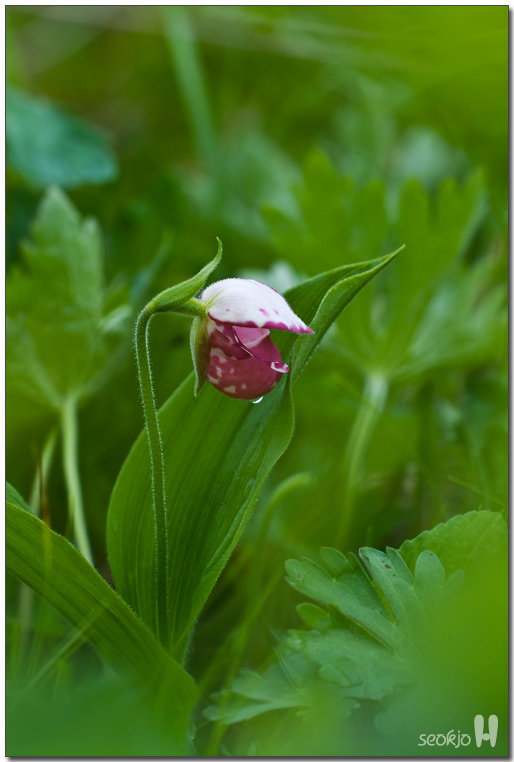 DSCF8657.jpg