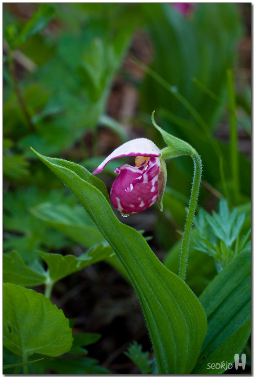DSCF8646.jpg