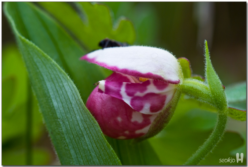 DSCF8656.jpg